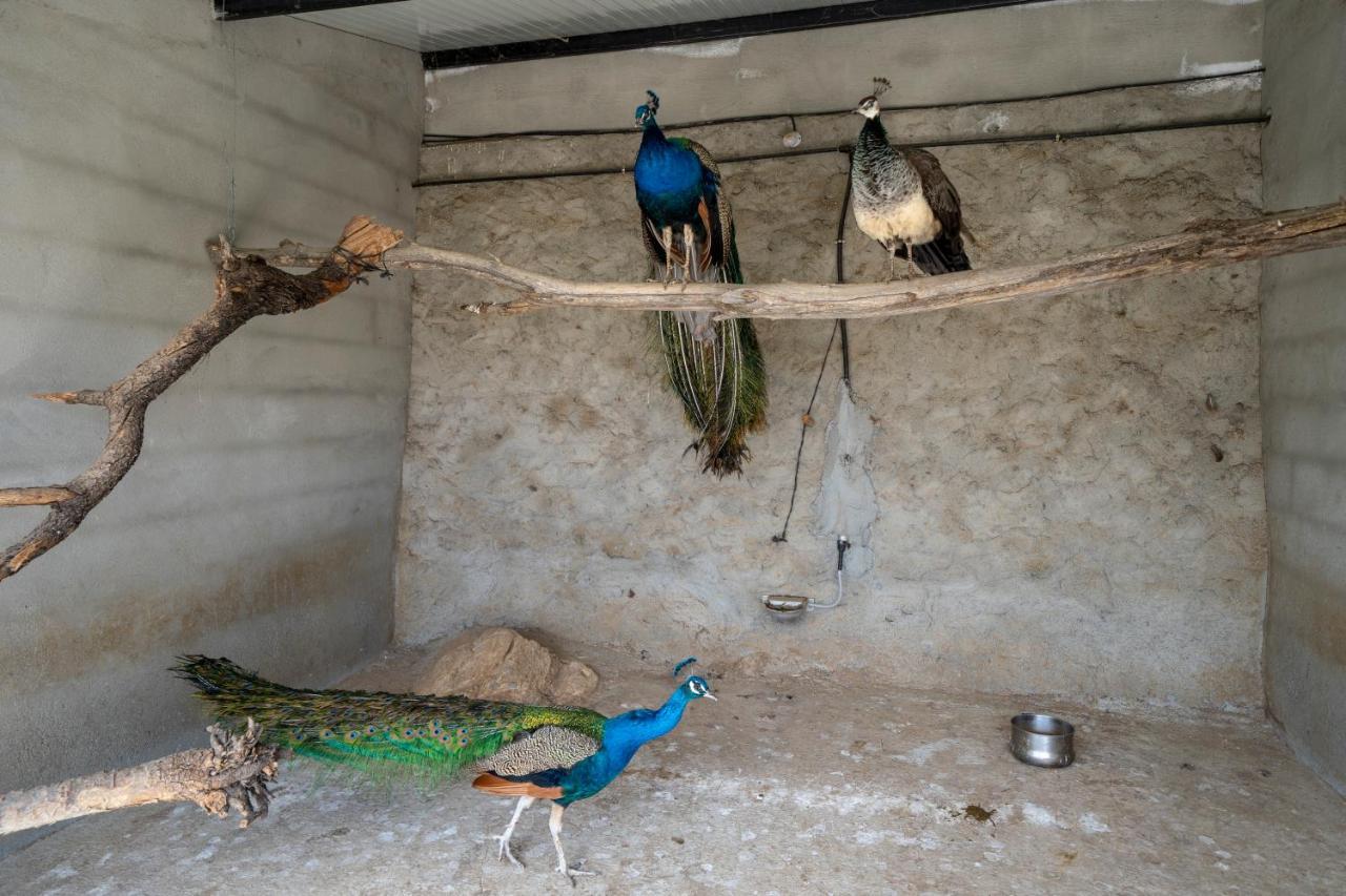 Reul Alto Cortijos Rurales Pension Laroya Buitenkant foto