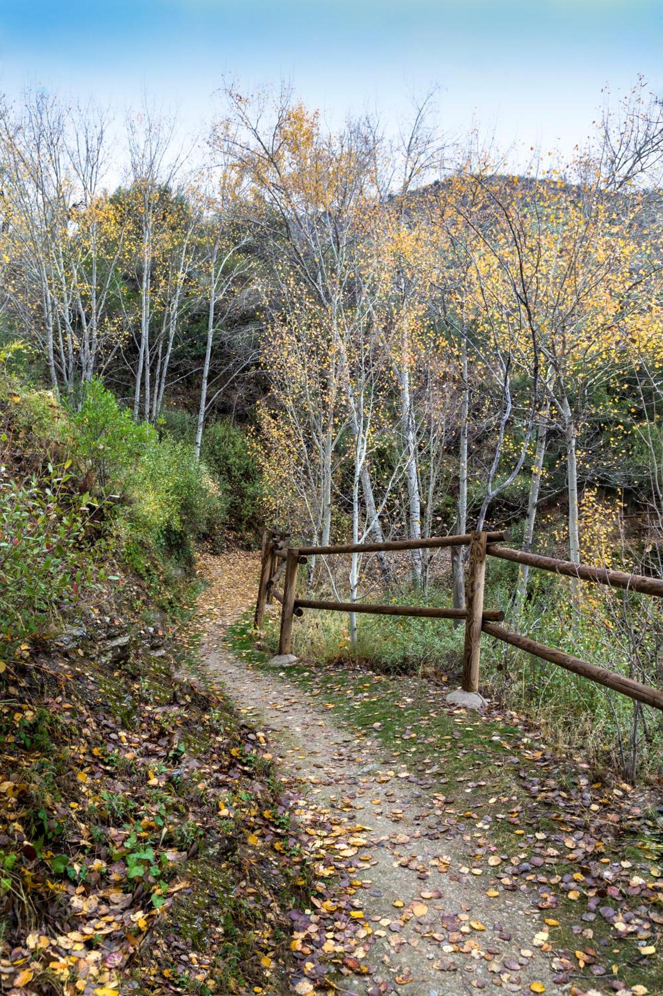 Reul Alto Cortijos Rurales Pension Laroya Buitenkant foto