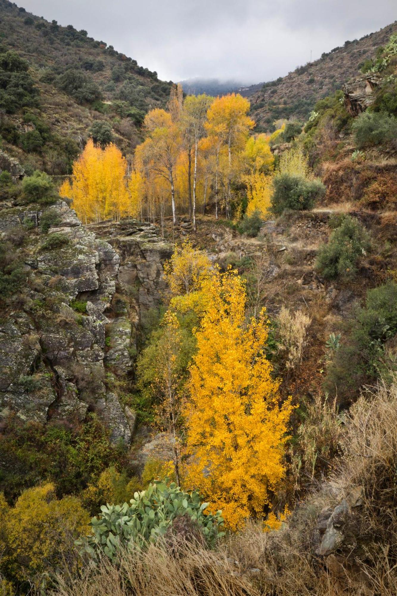 Reul Alto Cortijos Rurales Pension Laroya Buitenkant foto