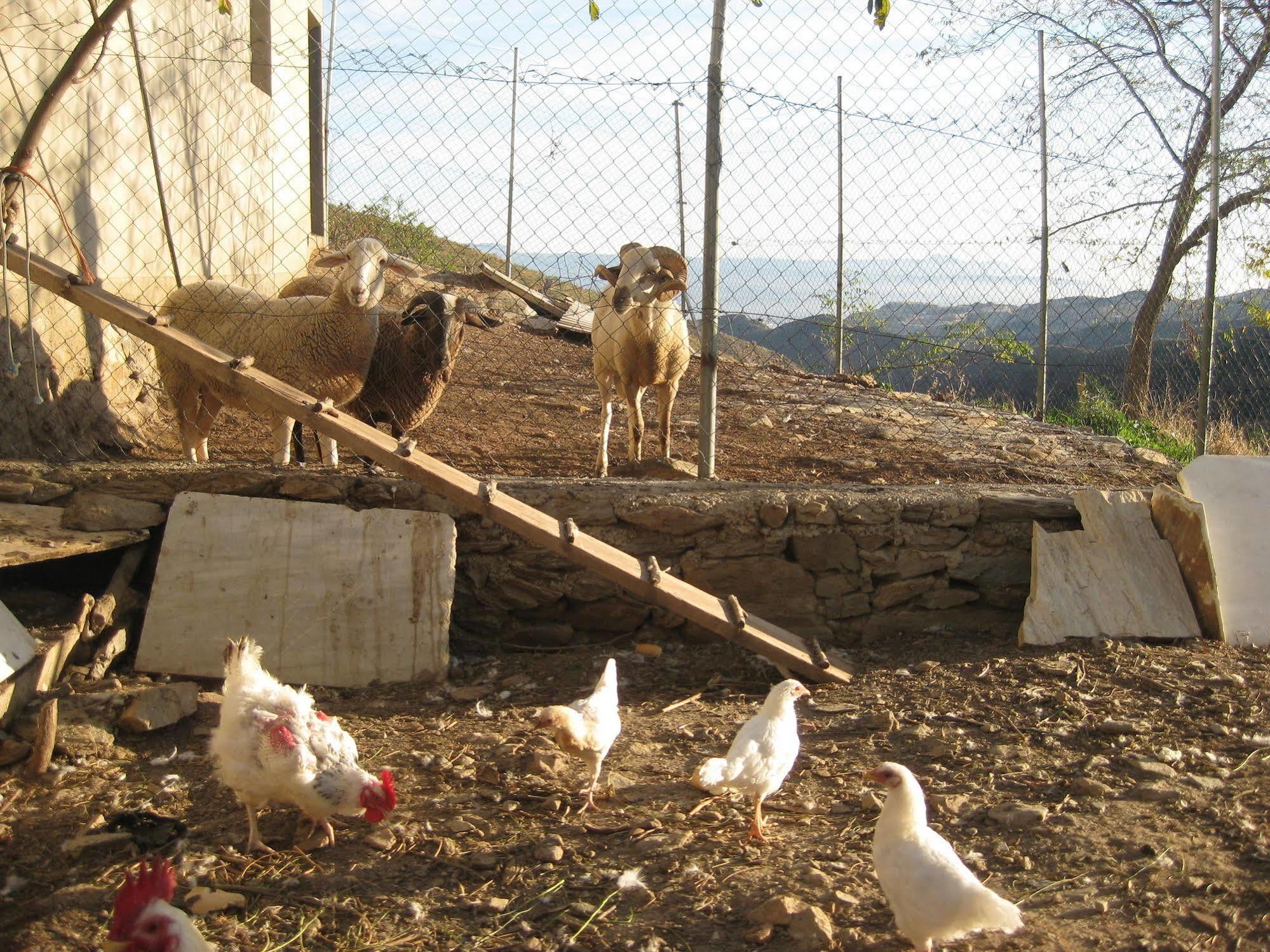 Reul Alto Cortijos Rurales Pension Laroya Buitenkant foto