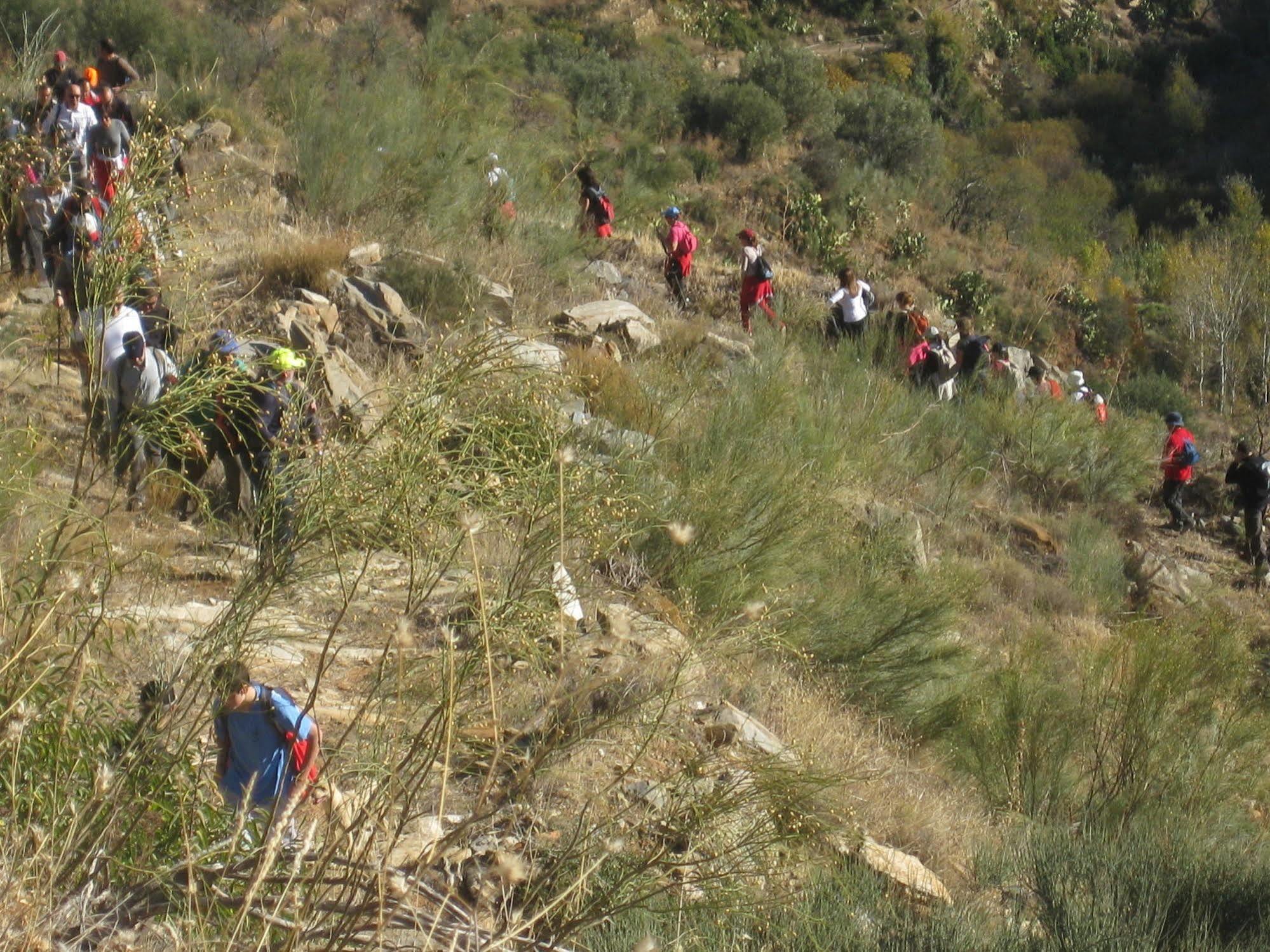 Reul Alto Cortijos Rurales Pension Laroya Buitenkant foto