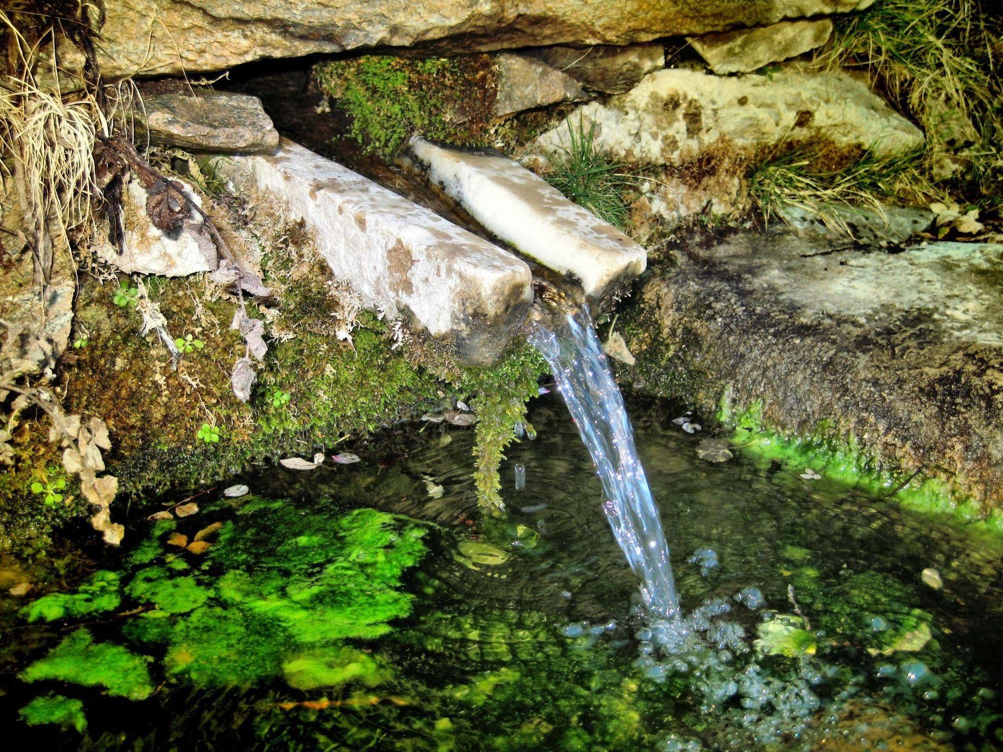 Reul Alto Cortijos Rurales Pension Laroya Buitenkant foto